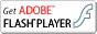 Obtener Adobe Flash Player